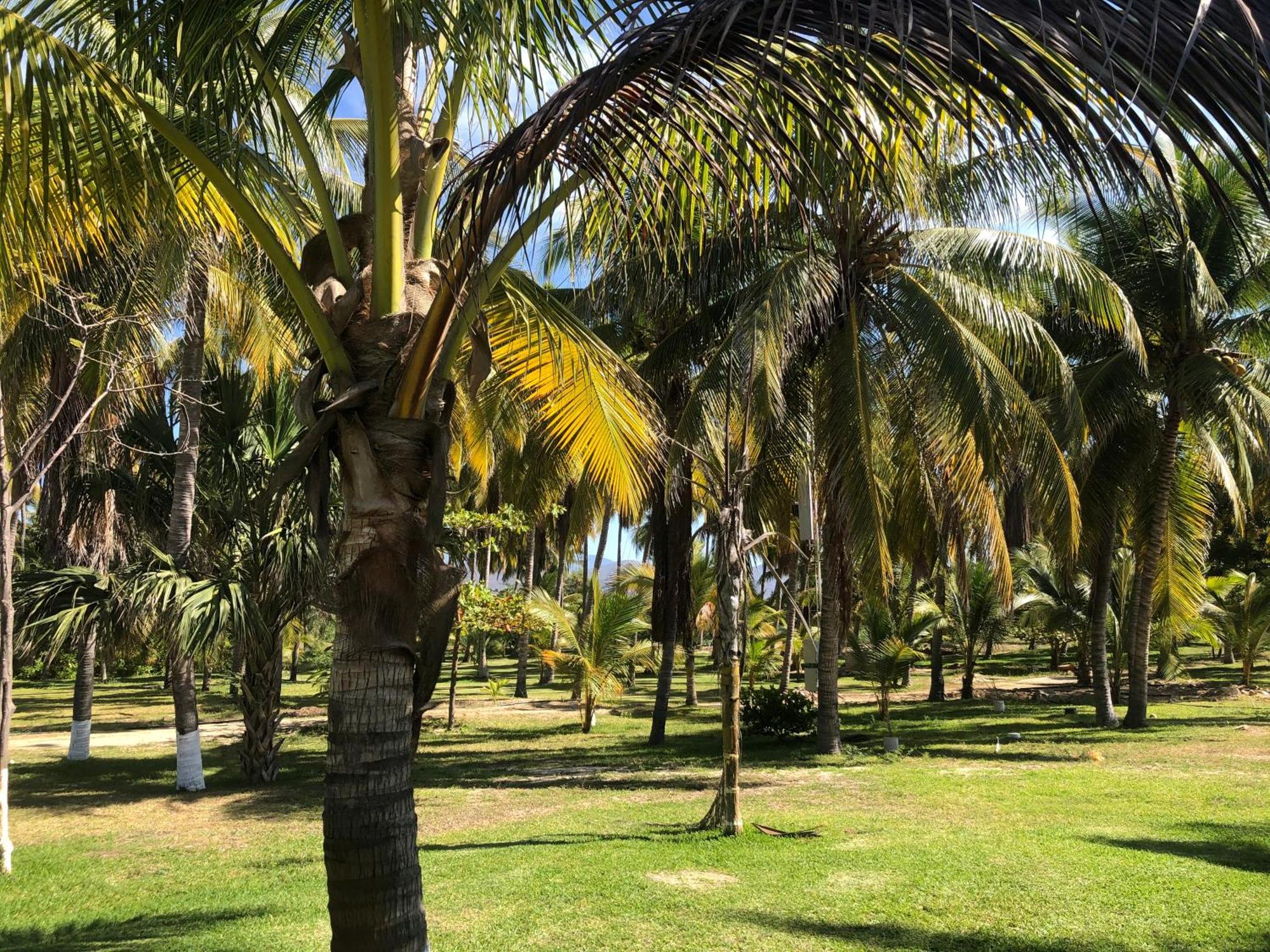 Casa Kundavi Beach Front Paradise Recado Екстер'єр фото